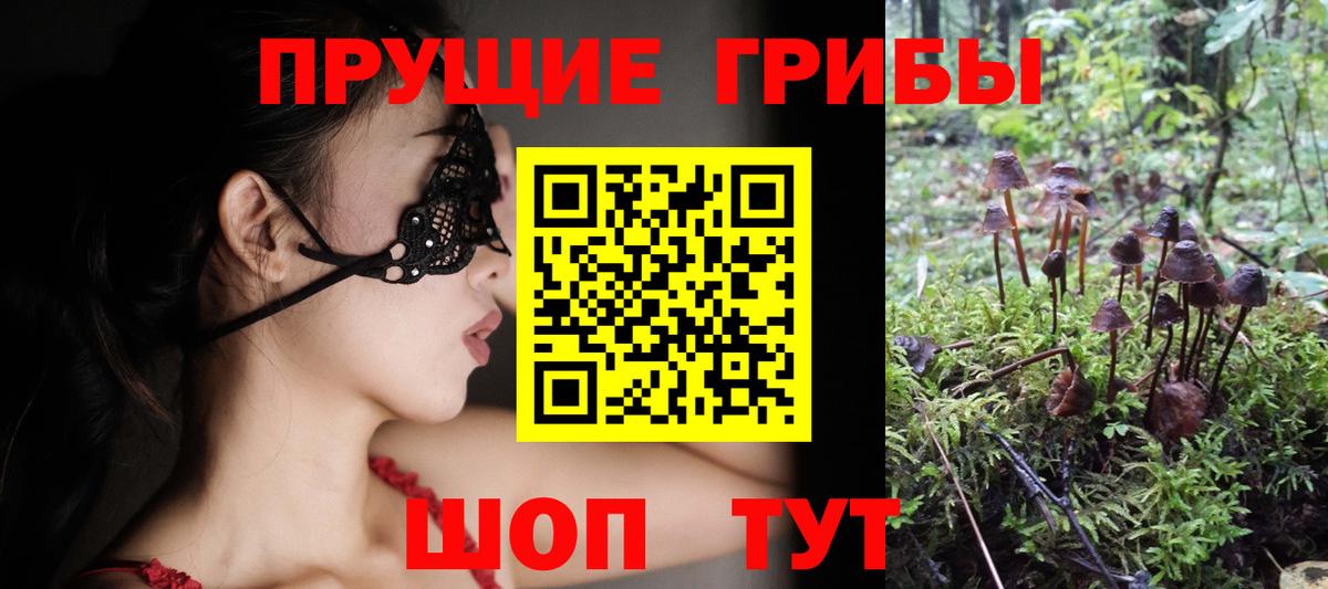 Псилоцибиновые грибы Cubensis Беслан